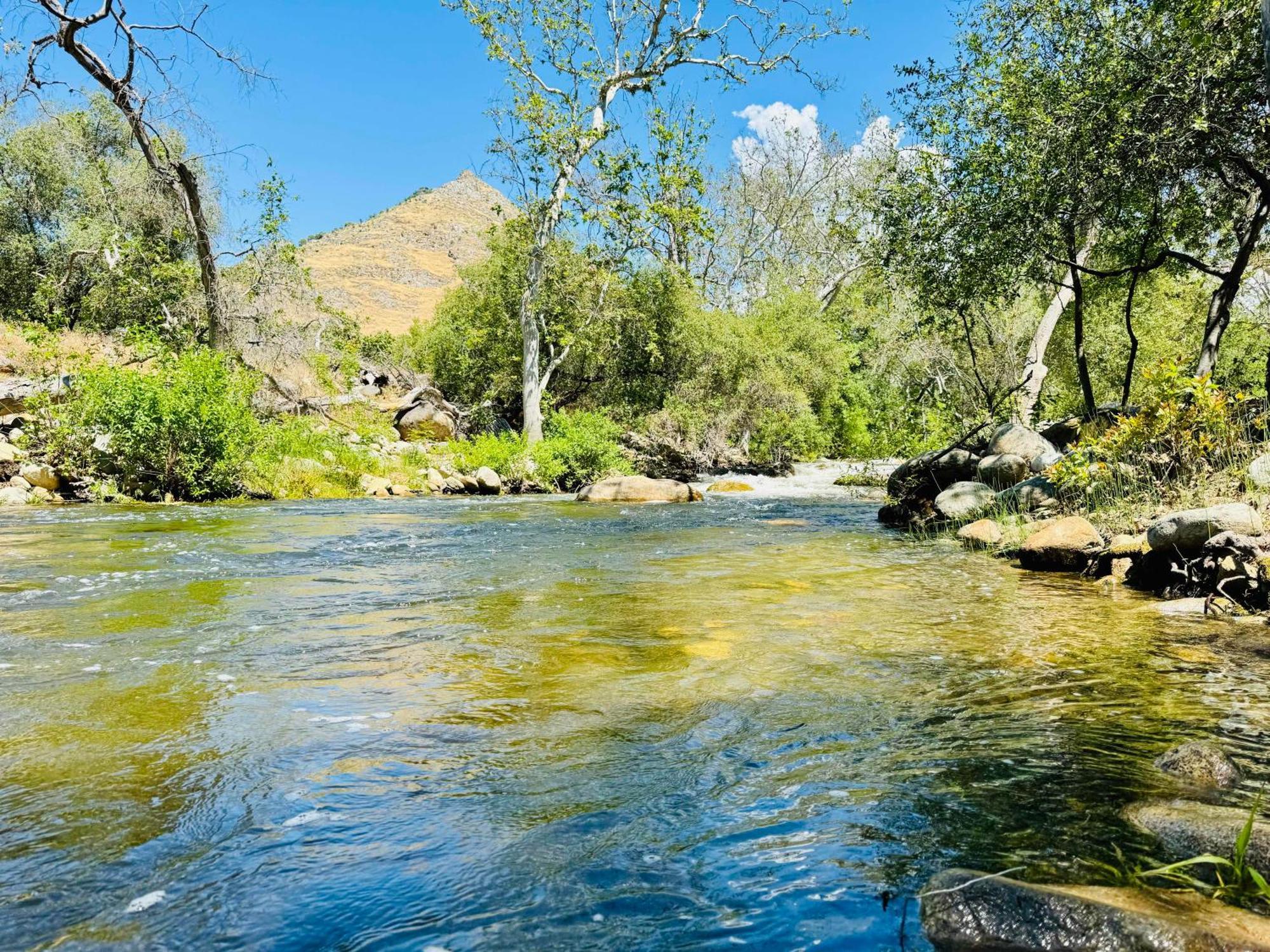 Sequoia Cabin By The River Three Rivers Exterior photo